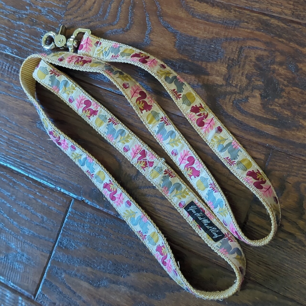 YOU HAD ME AT WOOF I Fall Autumn Squirrel Themed Dog Leash and Collar from Etsy - Picture 9 of 11